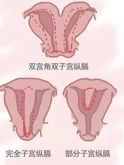 南京秦淮区可以做试管婴儿吗？南京秦淮区可以做试管婴儿吗多少钱？
