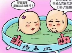子宫腺肌症可以做3代试管生子吗？治疗建议有哪些？怀孕成功率月多少？